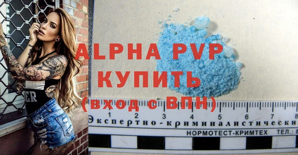 СК Чердынь