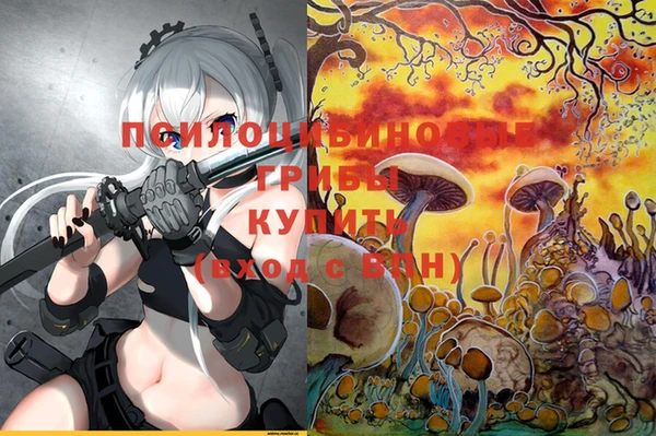 амф Вяземский