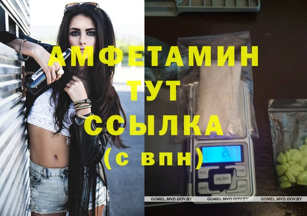амф Вяземский