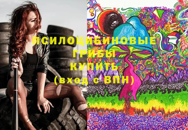 амф Вяземский