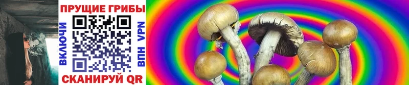 Галлюциногенные грибы мицелий  Голицыно 